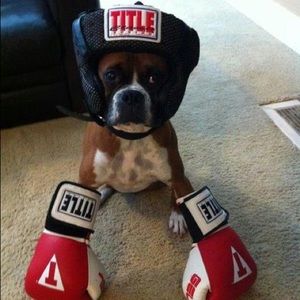 Meet your Posher, Eric